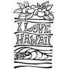 Hawaii 54