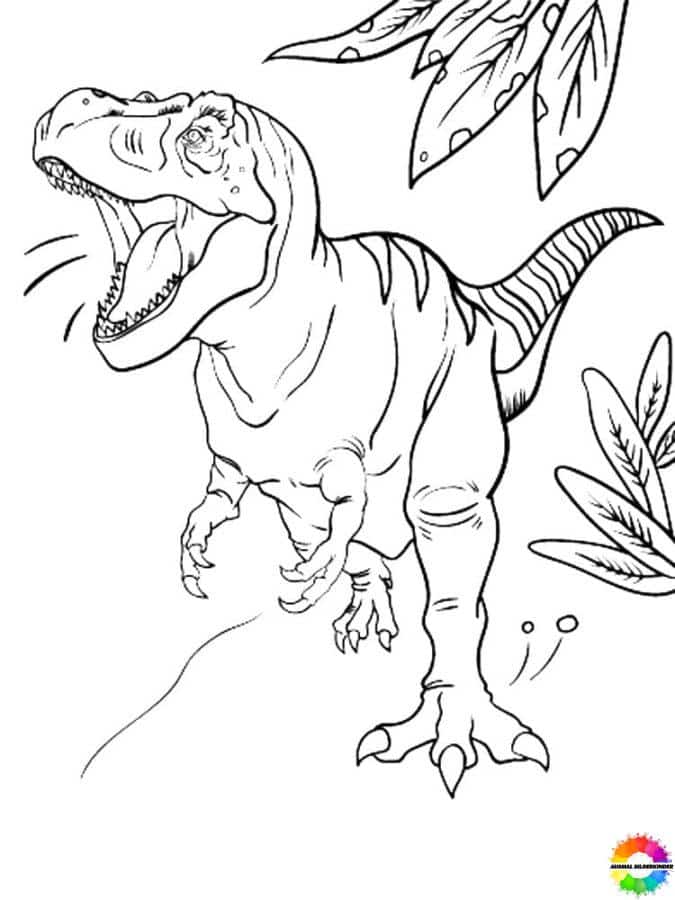 Tyrannosaurus 29