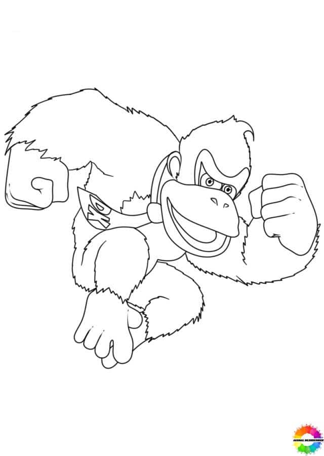 Donkey Kong 29