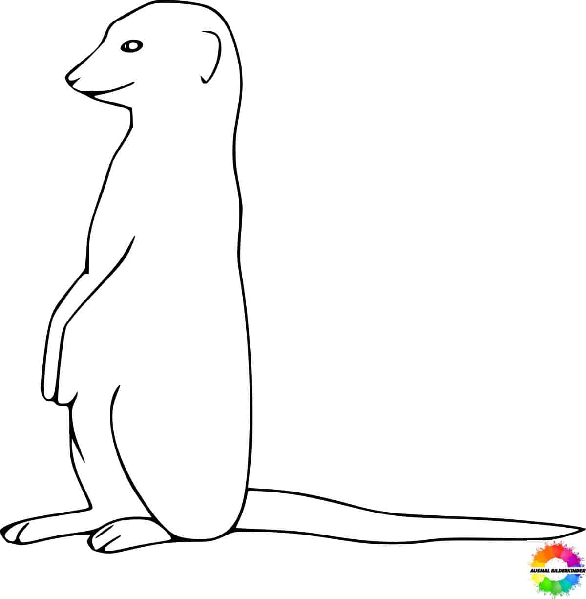 31+ Erdmännchen ausmalbilder zum ausdrucken für kinder ausmalen