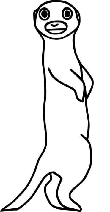 Erdmännchen ausmalbilder zum ausdrucken für kinder ausmalen