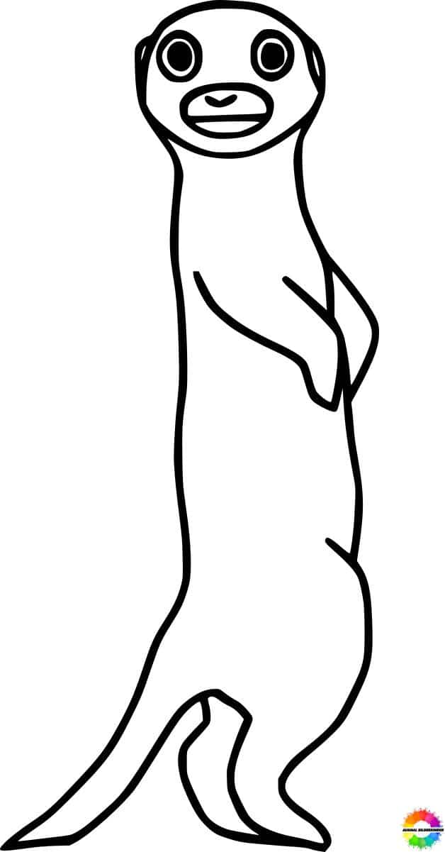 ausmalbilder erdmännchen