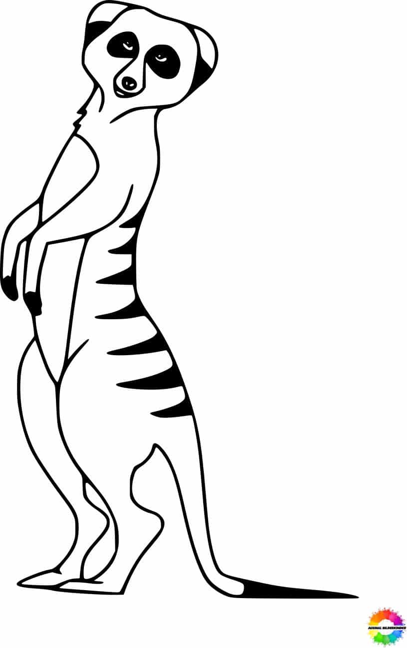 31+ Erdmännchen ausmalbilder zum ausdrucken für kinder ausmalen