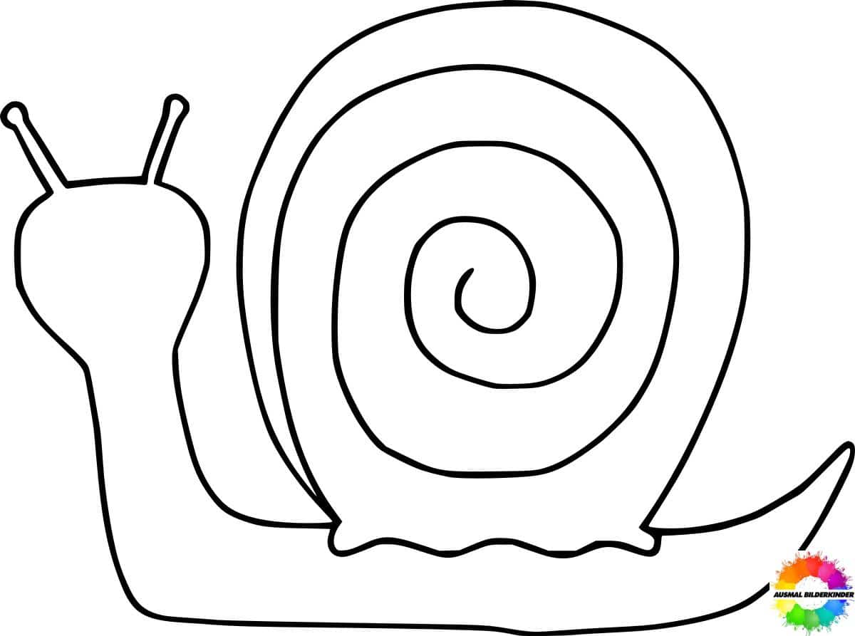 ausmalbilder schnecken