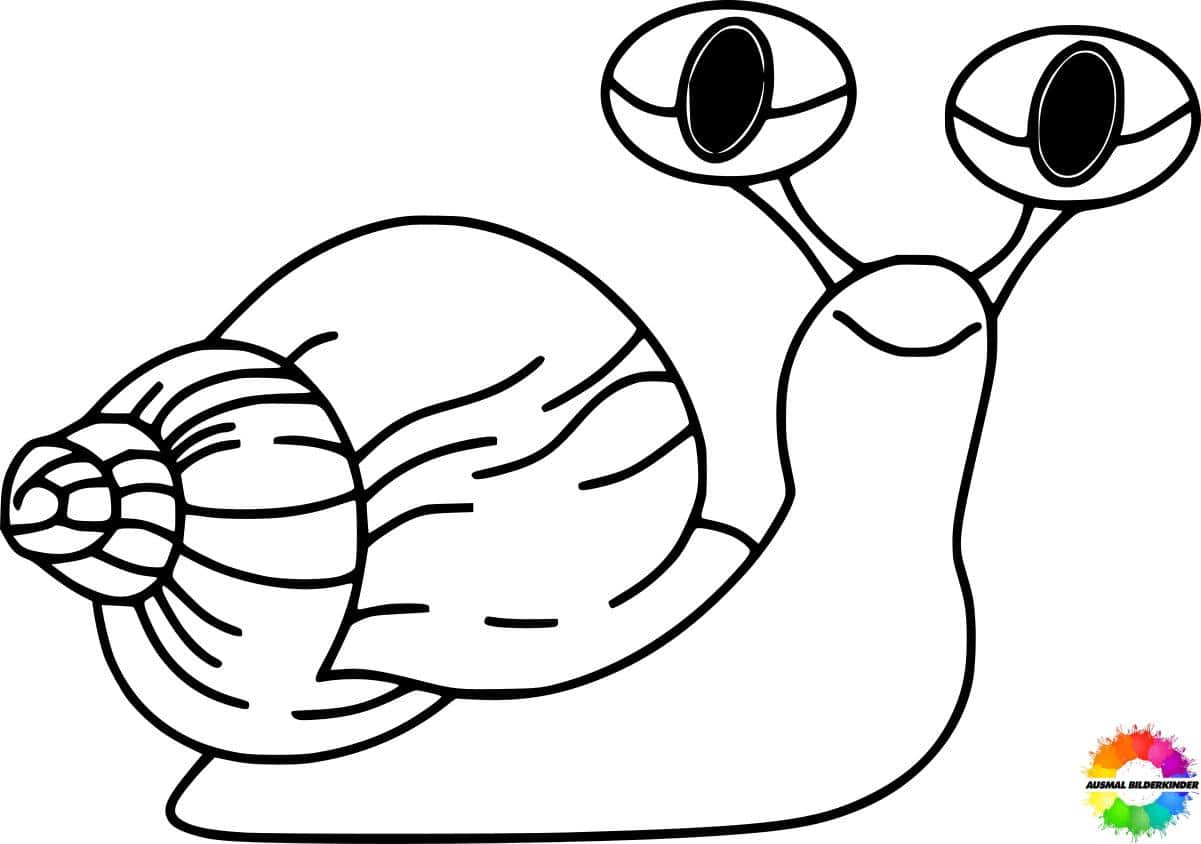 ausmalbilder schnecken