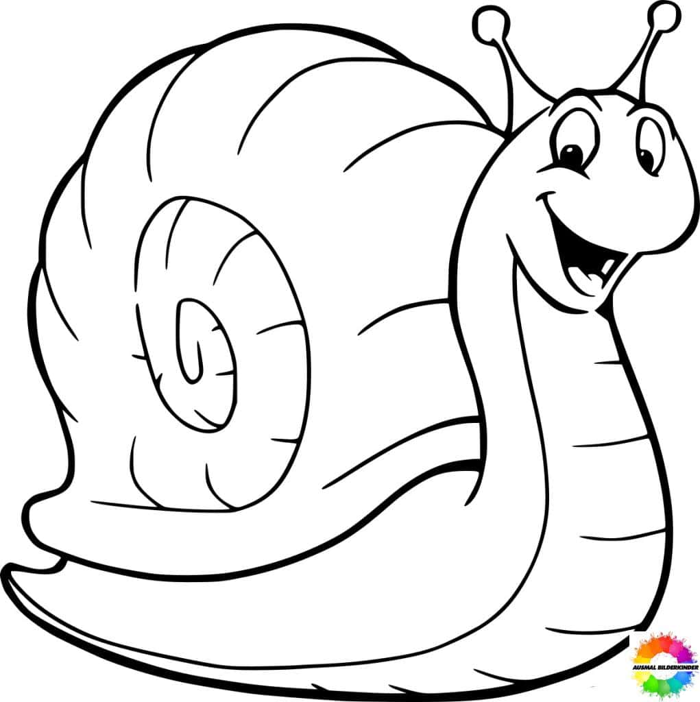 ausmalbilder schnecken
