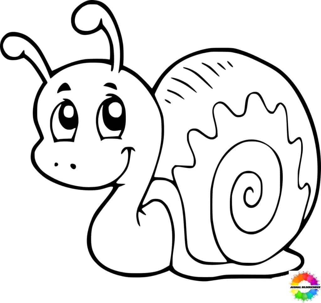 ausmalbilder schnecken