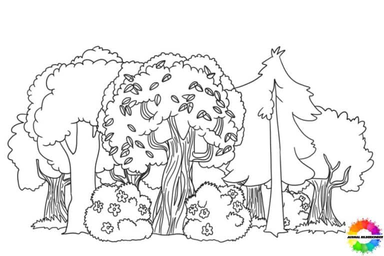37+ Wald ausmalbilder zum ausdrucken kostenlos und ausmalen