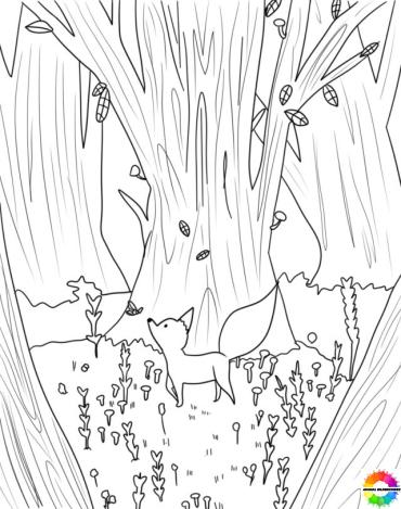 37+ Wald ausmalbilder zum ausdrucken kostenlos und ausmalen