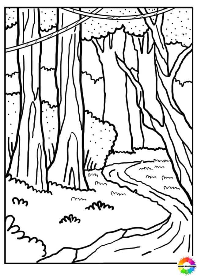 Forest Coloring Pages