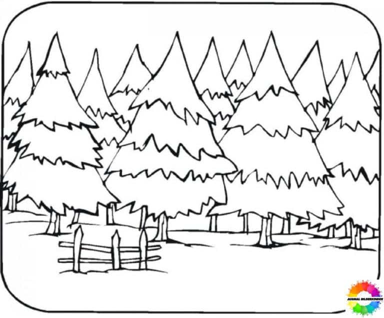 Forest coloring pages - Free to print and color