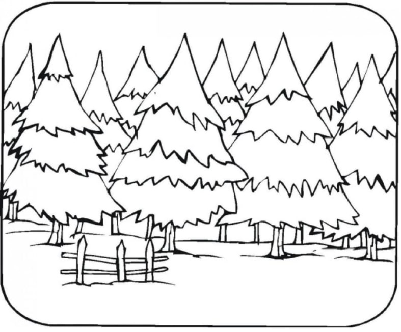 37+ Wald ausmalbilder zum ausdrucken kostenlos und ausmalen
