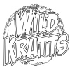 Wild Kratts 6