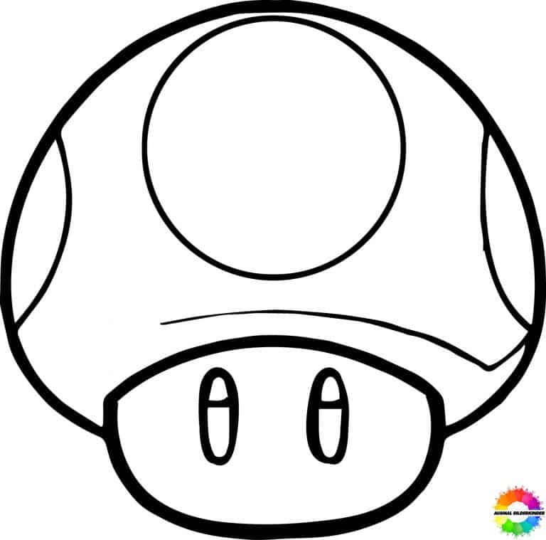 Toad 41