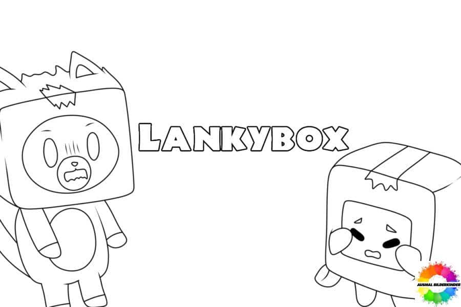 LankyBox 9