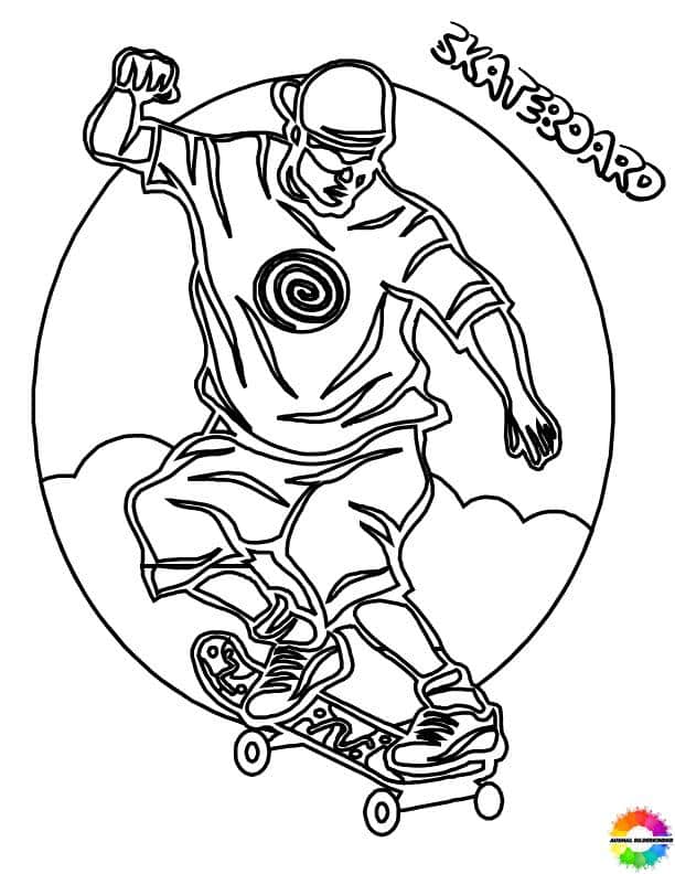 Skateboard 16