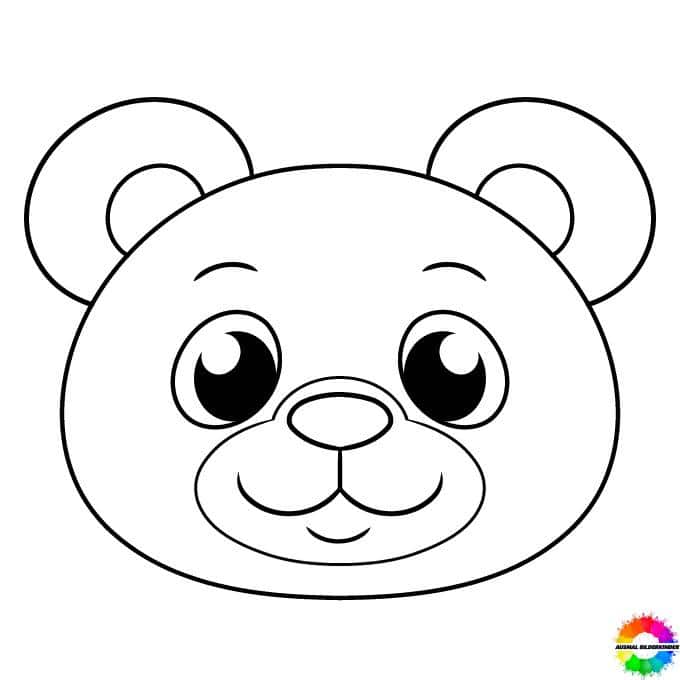 Bären 1