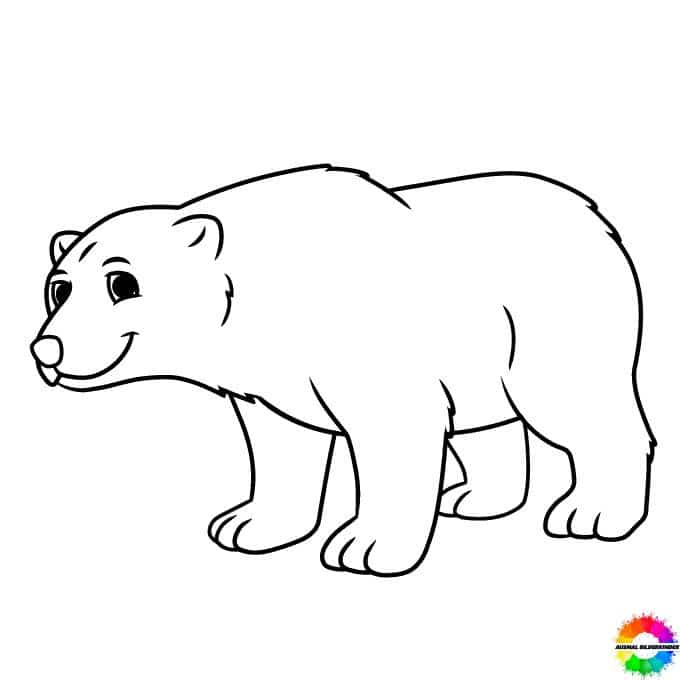 Bären-Ausmalbilder-ausmalbilderkinder-de-10