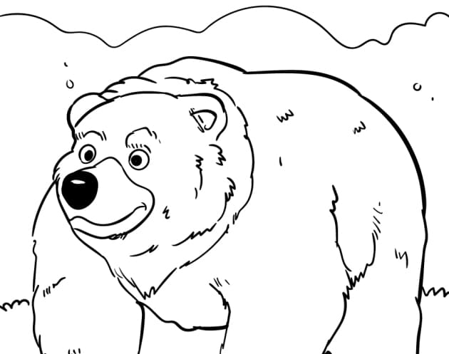 Bären-Ausmalbilder-ausmalbilderkinder-de-30