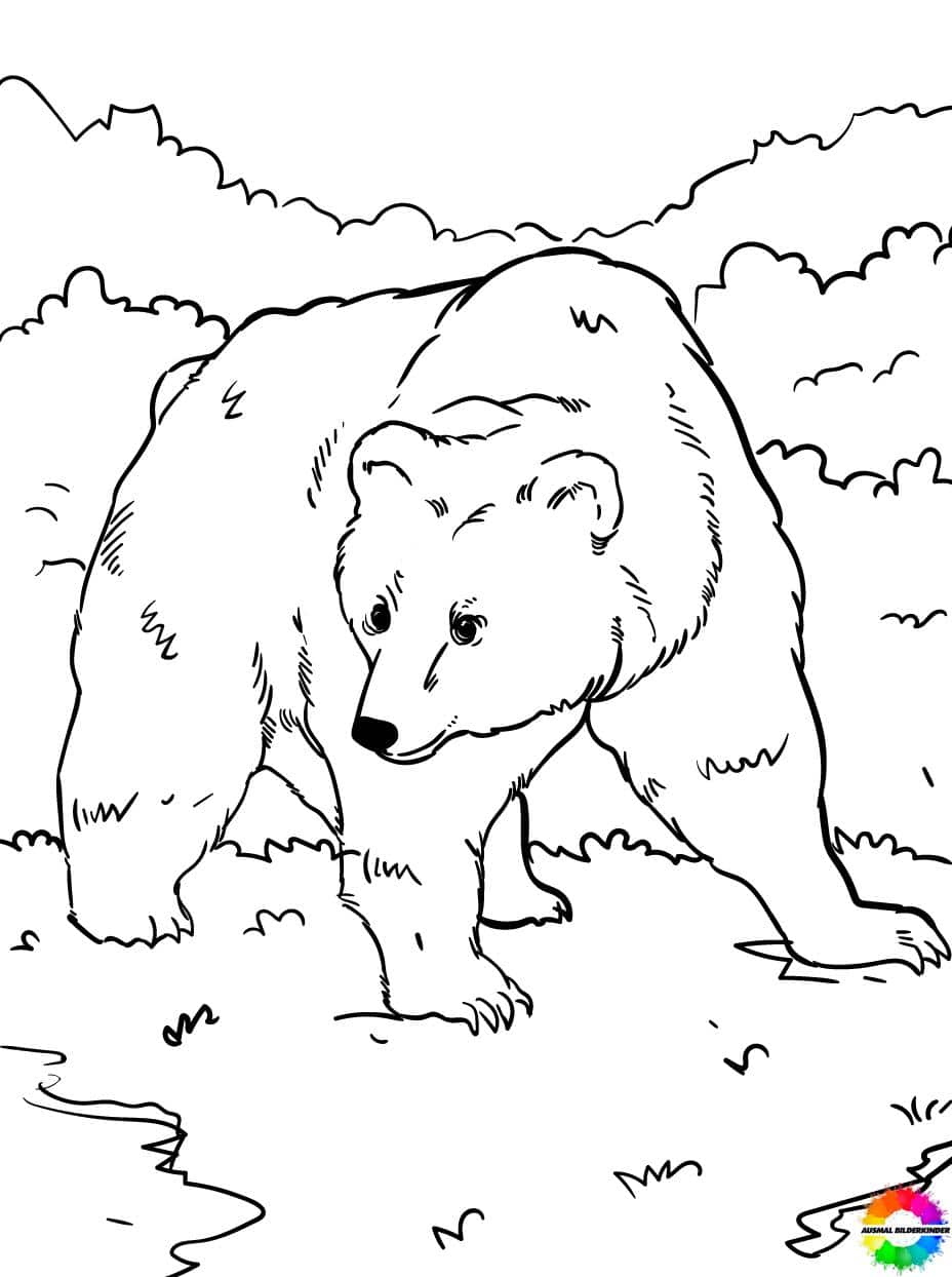 Bären-Ausmalbilder-ausmalbilderkinder-de-35