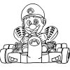 Mario Kart 14