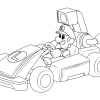 Mario Kart 54