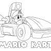 Mario Kart 55