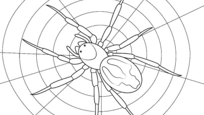 Spinne-ausmalbilder-ausmalbilderkinder-de-67