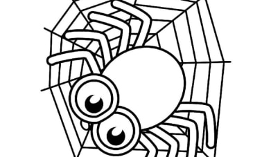 Spinne-ausmalbilder-ausmalbilderkinder-de-68