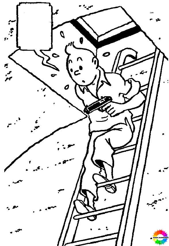 Die Abenteuer von Tintin 19