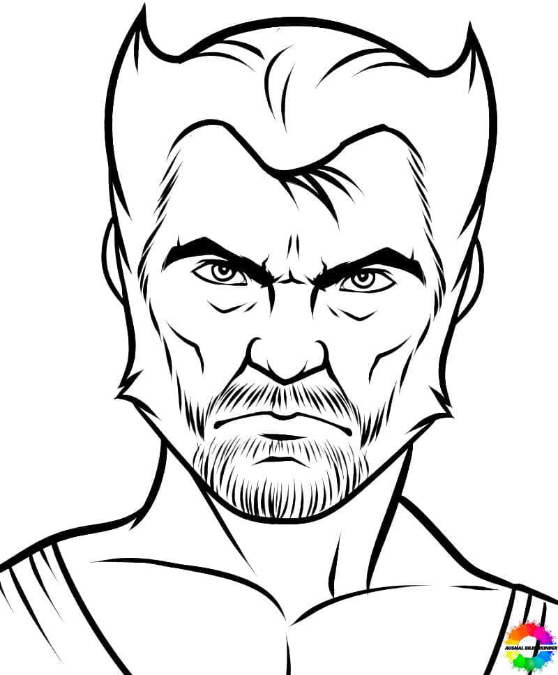 Wolverine 22