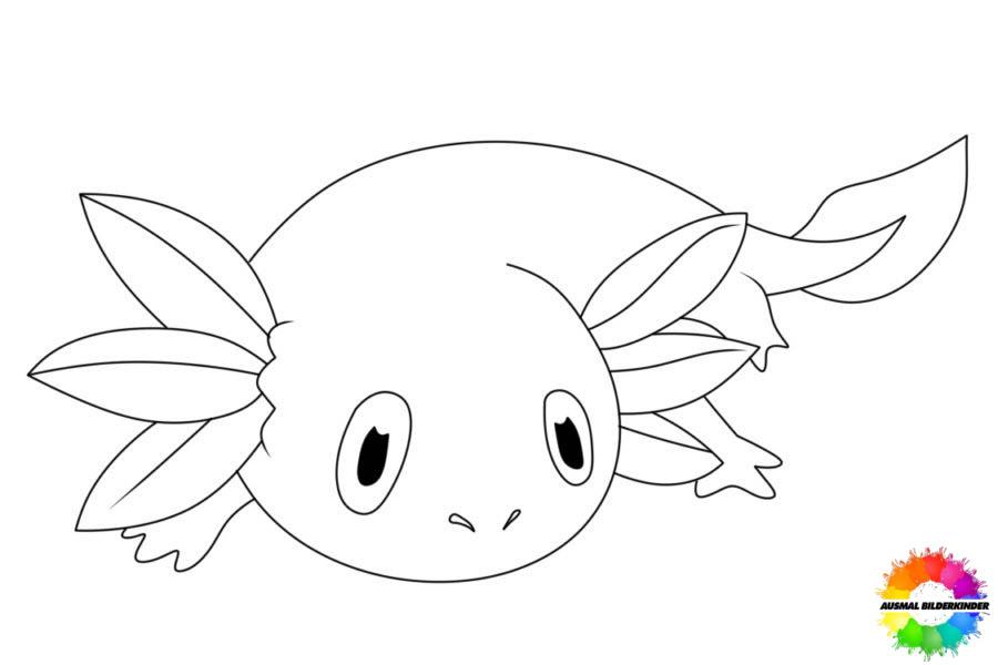 Axolotl 10