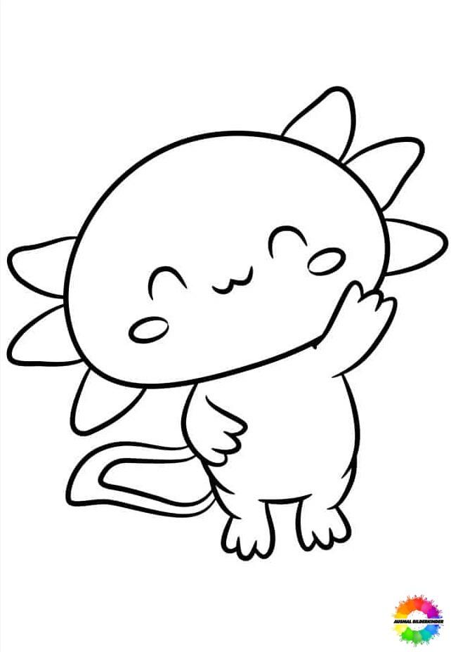 Axolotl 21