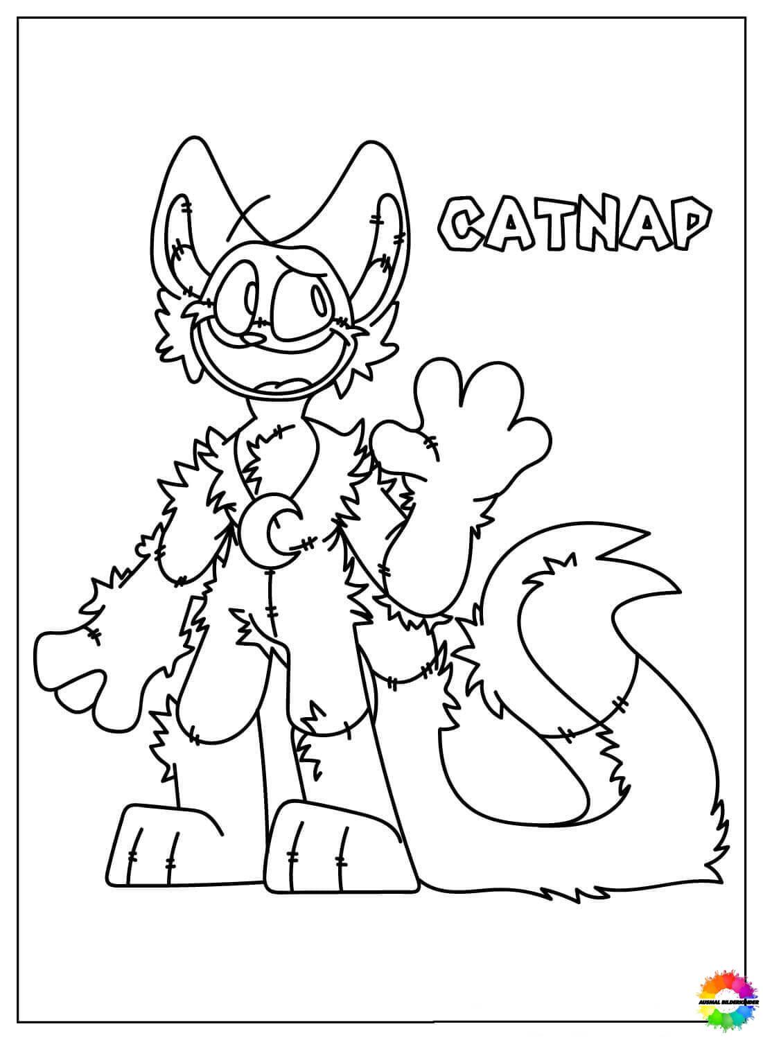 CatNap 14