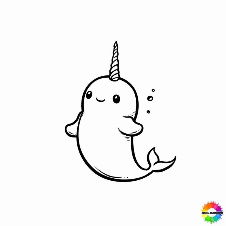 37+ Narwal ausmalbilder gratis für kinder | Jetzt downloaden
