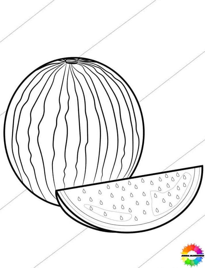 Wassermelone 15
