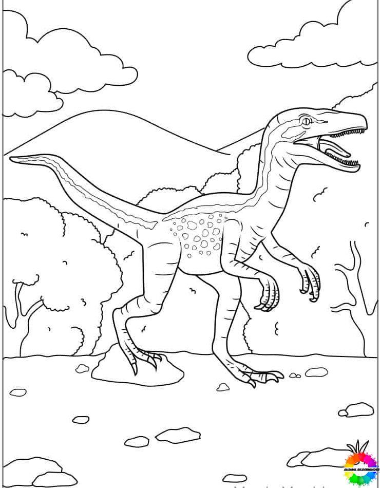 Velociraptor 14
