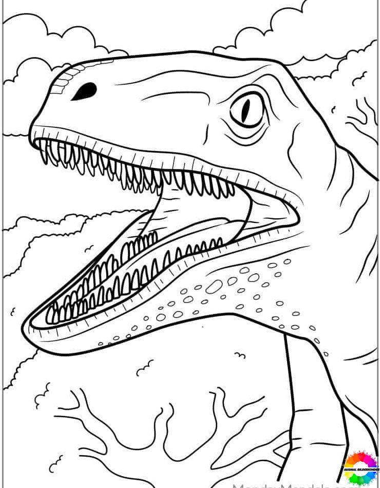 Velociraptor 16
