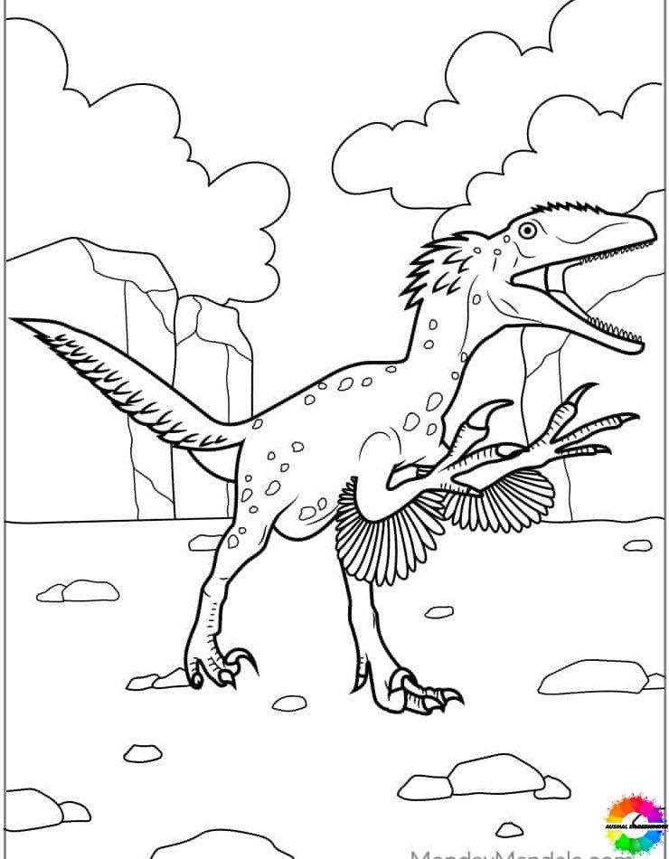 Velociraptor 17