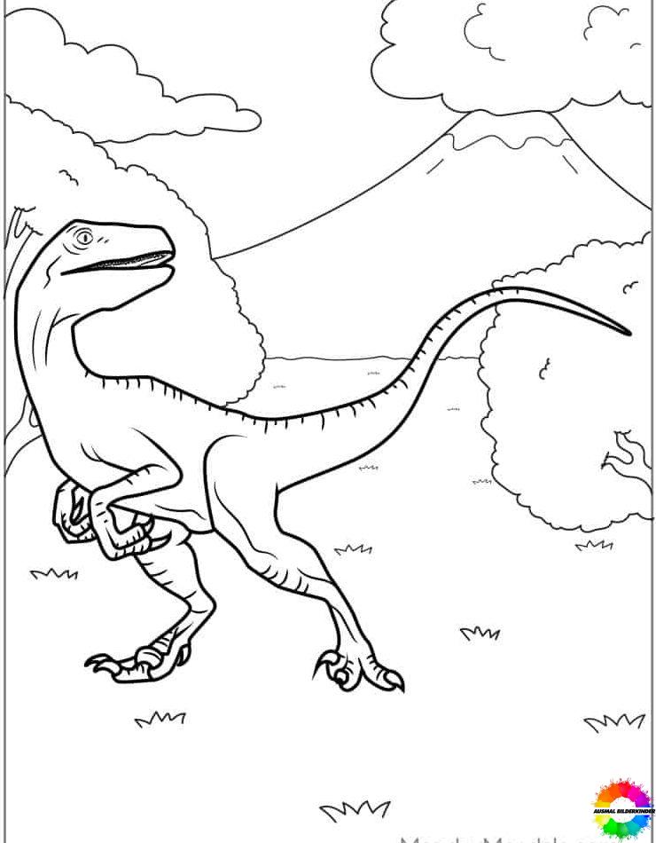 Velociraptor 18