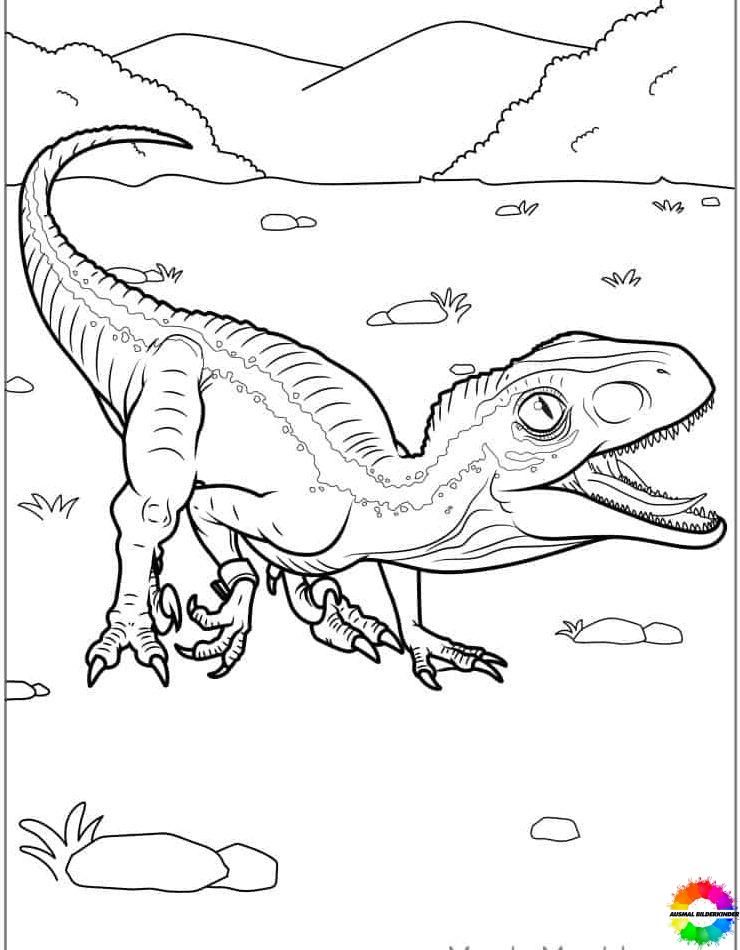 Velociraptor 24