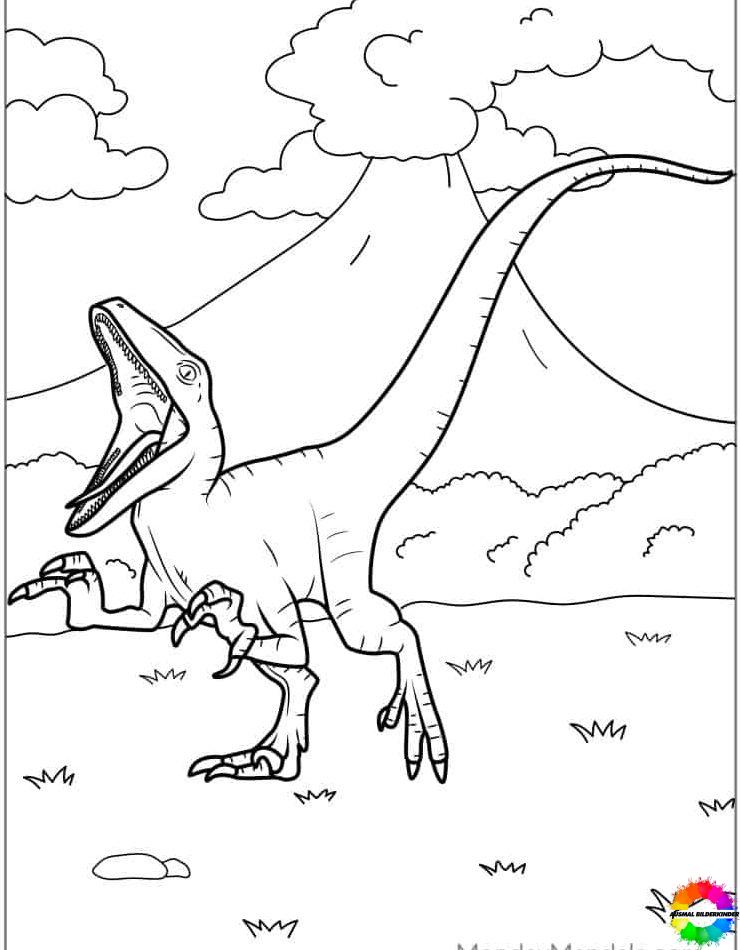 Velociraptor 28