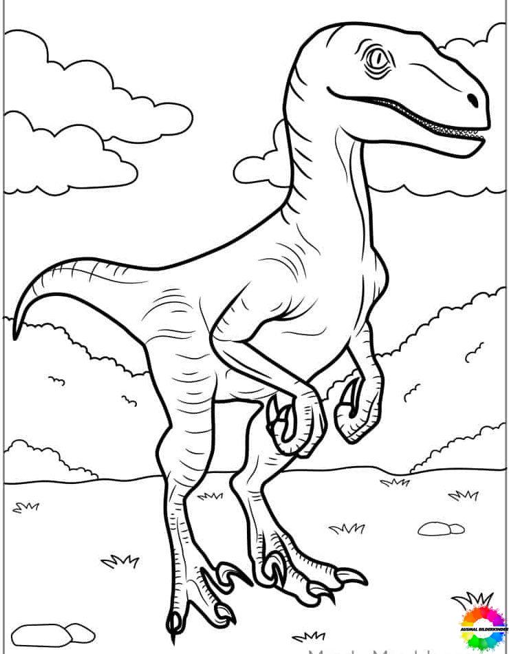 Velociraptor 8