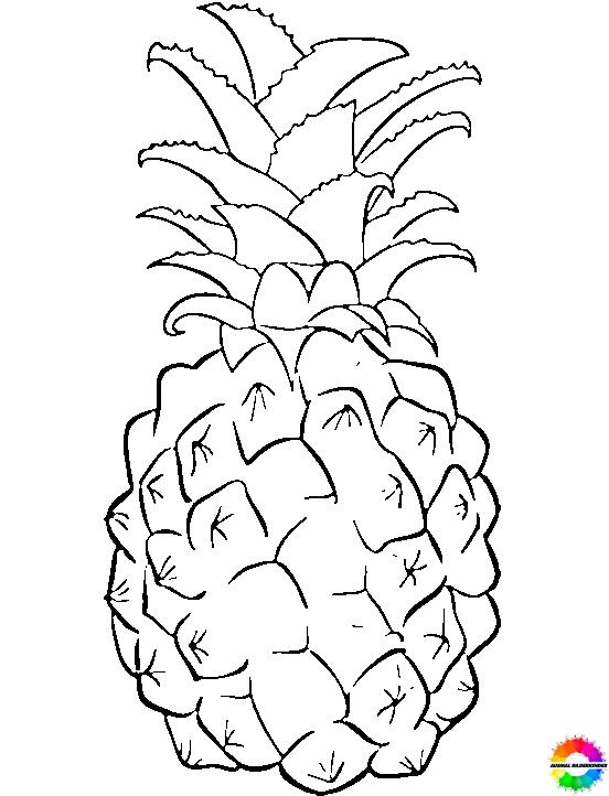 Ananas 18