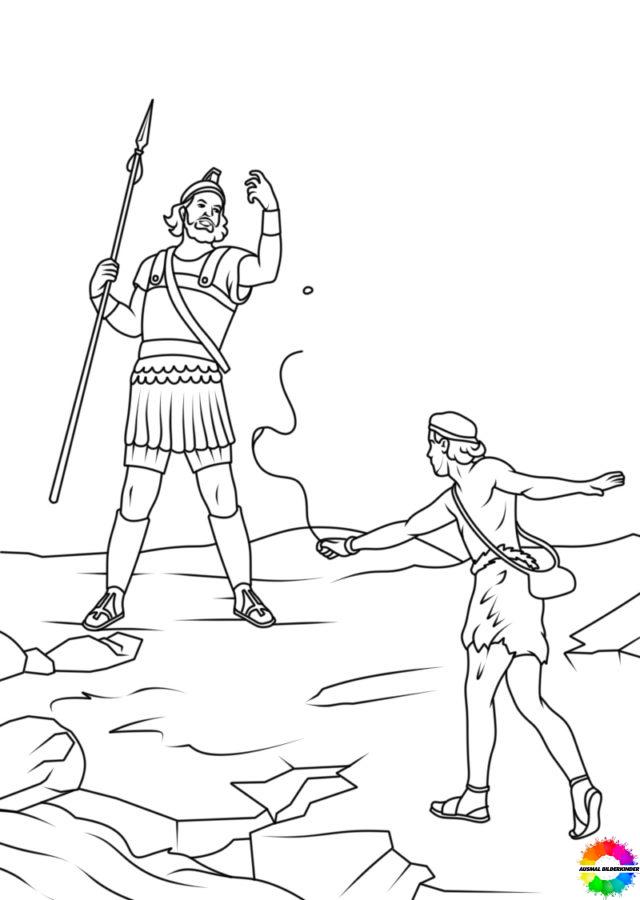 David und Goliath 29