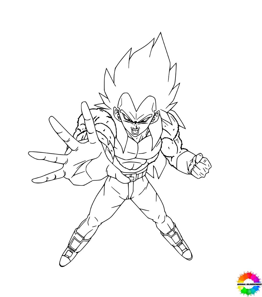 Vegeta 33