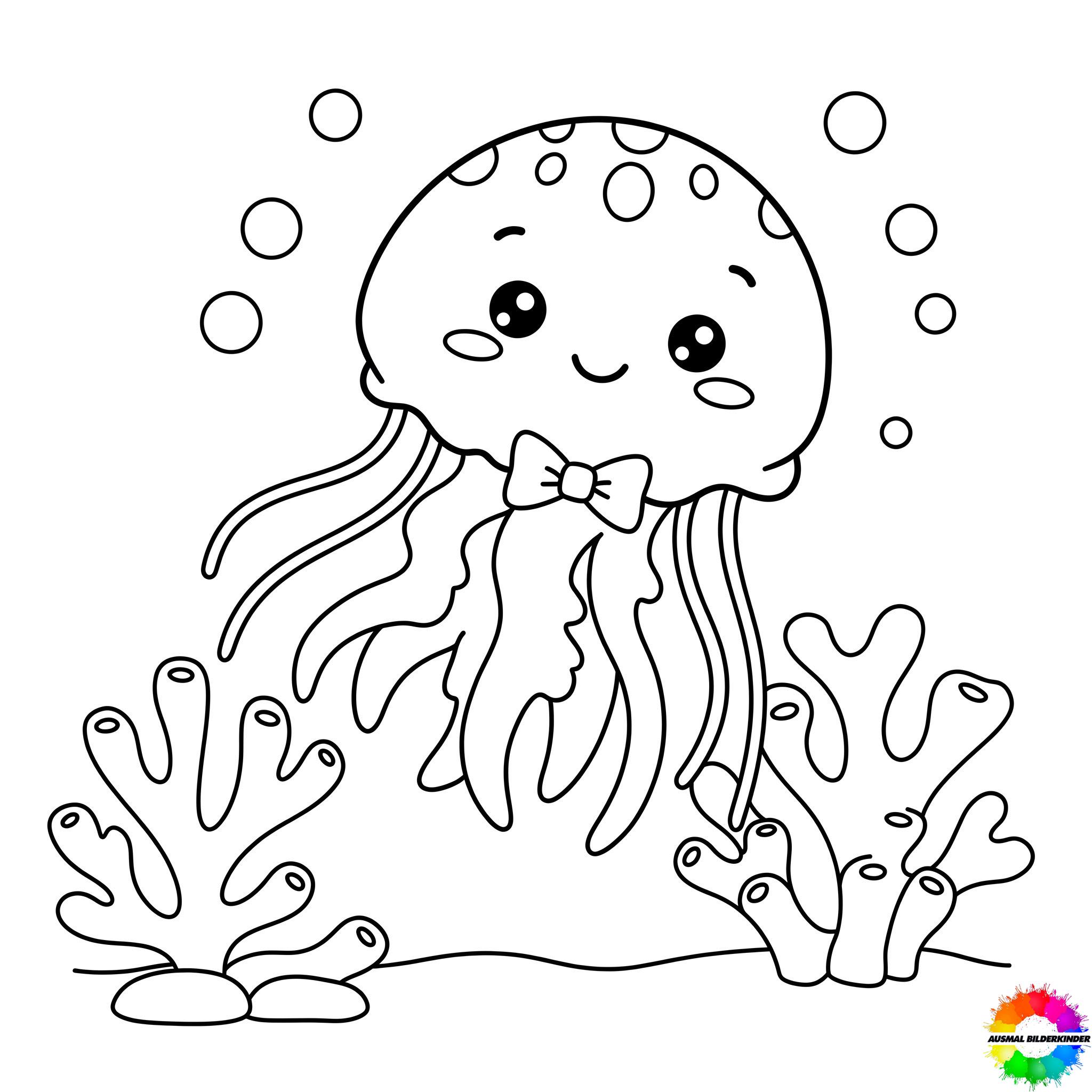 Jellyfish